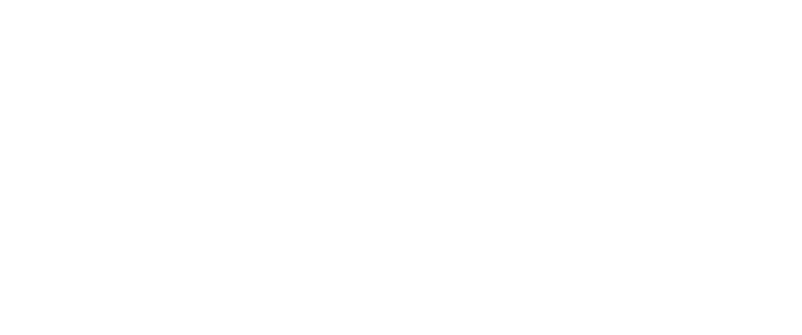 Logo Fiftyfive Media Agenzia Comunicazione a Ferrara