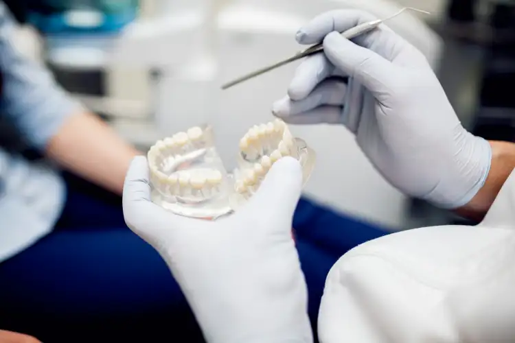 Dentista che esamina protesi su arcata dentale in gesso